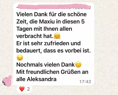 photo 2024-11-07 20-47-00 result